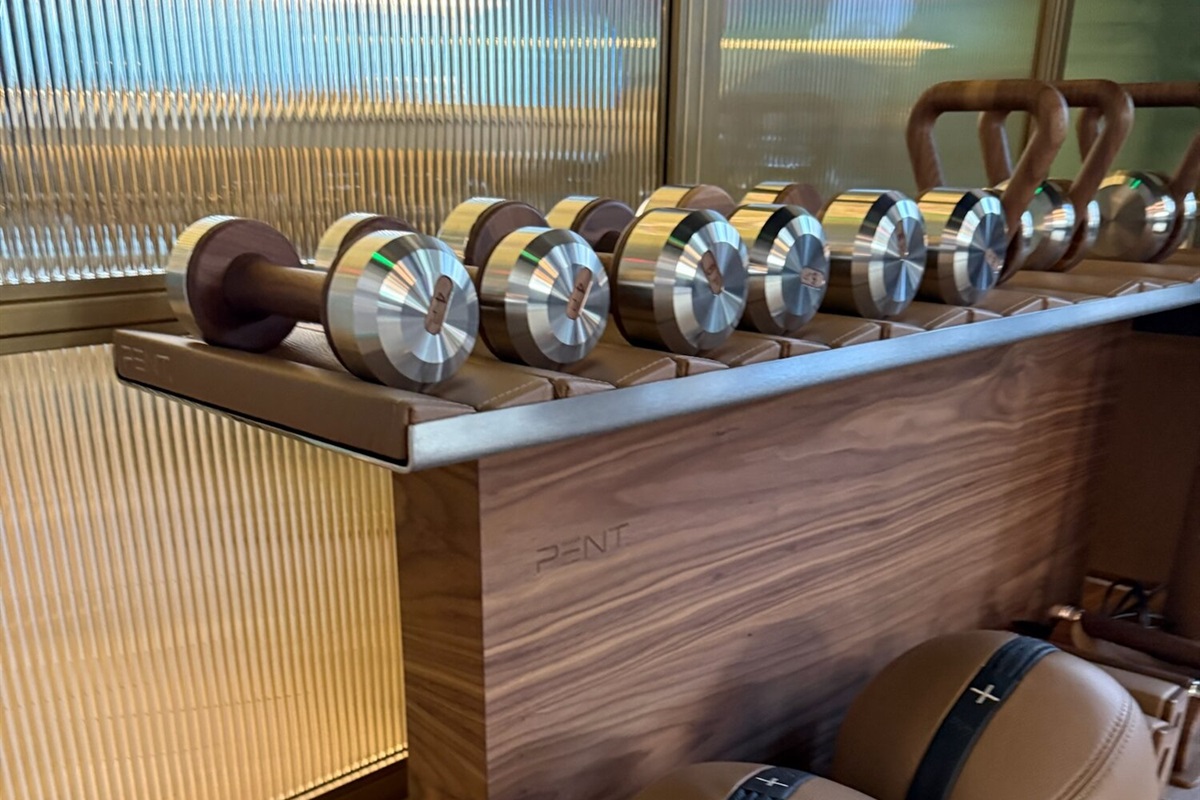 PENT handcrafted dumbbells and leather medicine balls