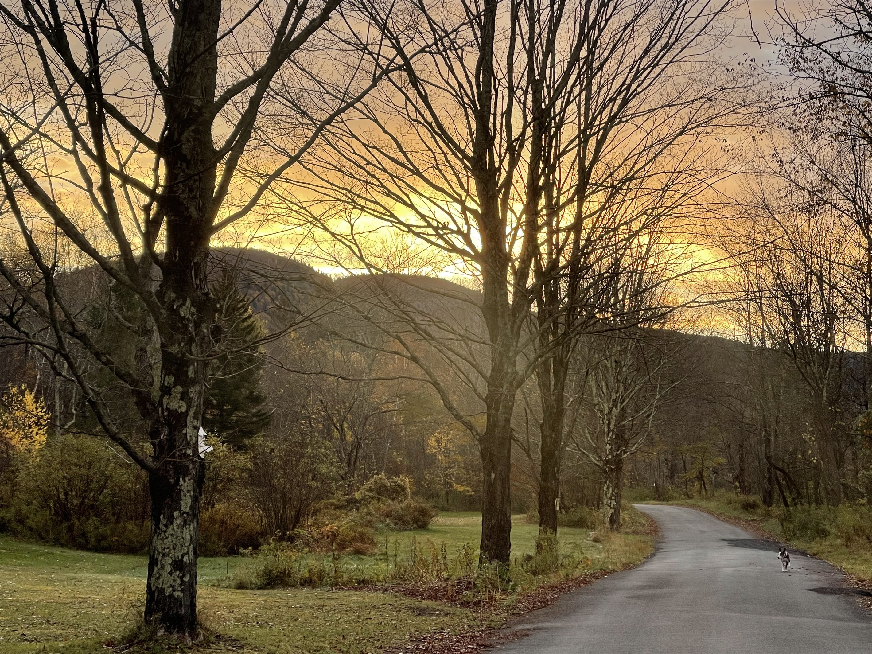 Down the road on Spruceton Rd.