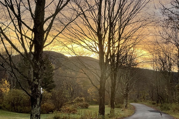 Down the road on Spruceton Rd.