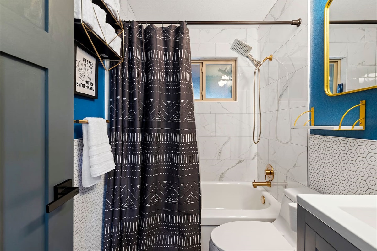 Single tub/shower combo in the cabin, cozy yet elegant. Please, just stay seated for the entire performance.