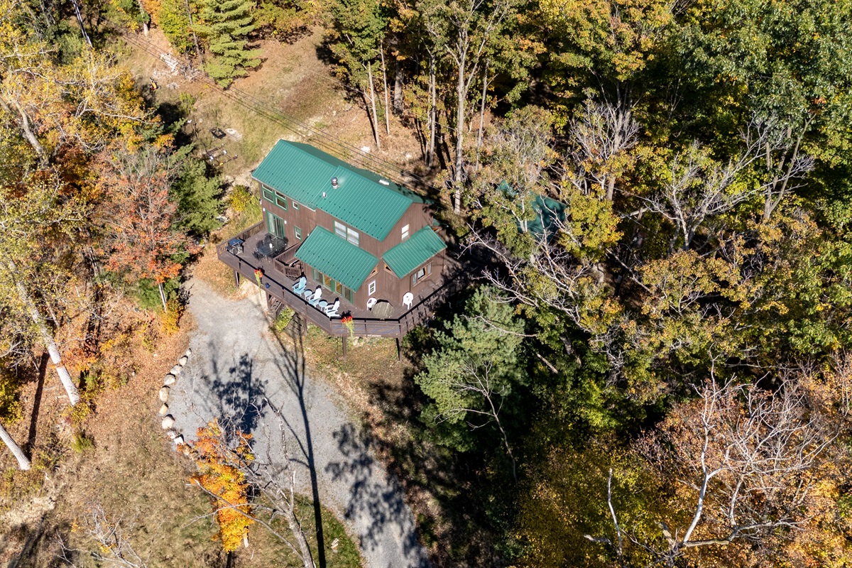 Aerial view of the cabin tucked into the trees above Keuka Lake — your hillside escape.
