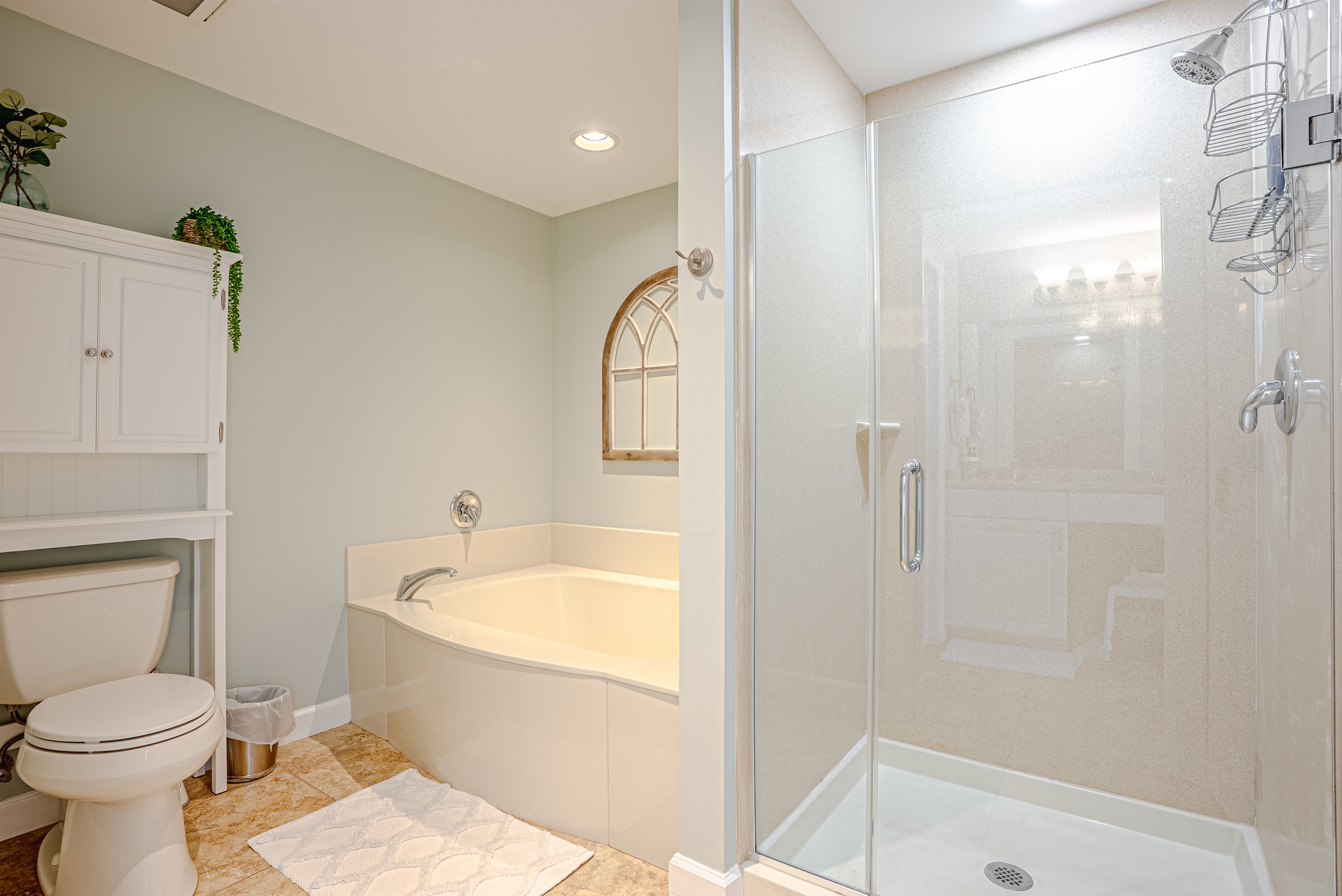 Master garden tub and walk in shower