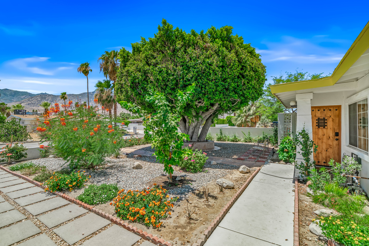 Lush landscaping