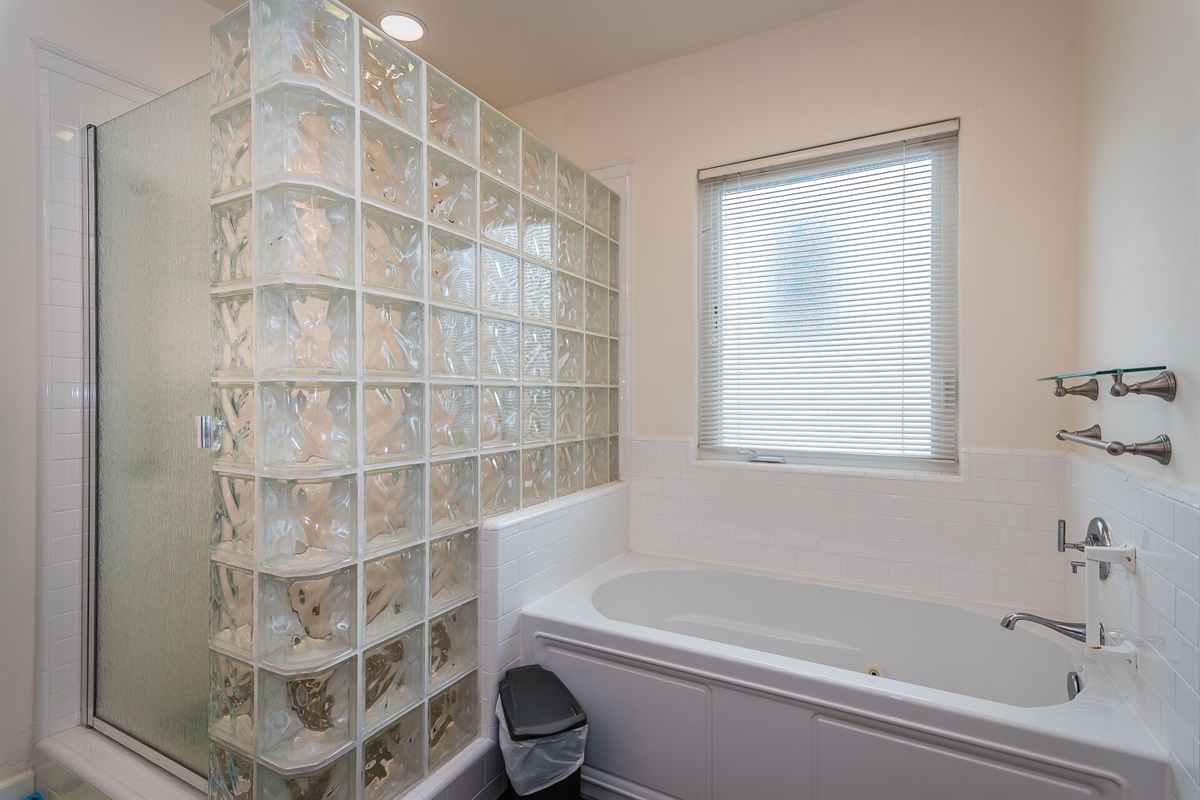 Primary bathroom - shower & Jacuzzi tub
