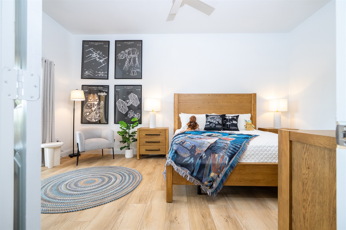 Star Wars Master Bedroom
