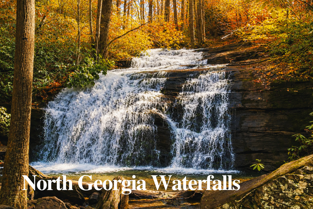 Chase waterfalls in the gorgeous Blue Ridge Mountains. Find your peace where the water meets the woods (Fall Branch Falls / Long Creek Falls).