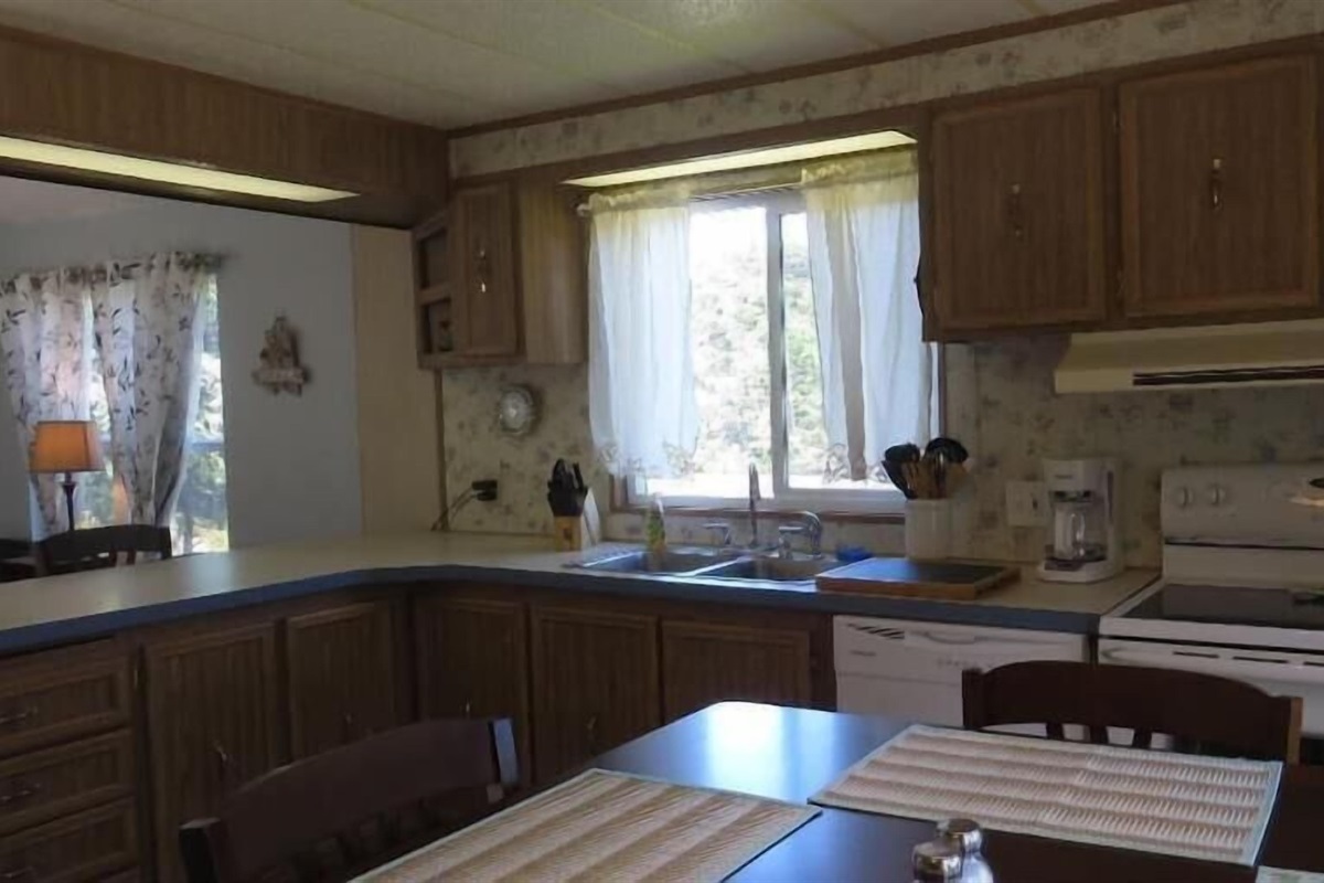 electric range & dishwasher