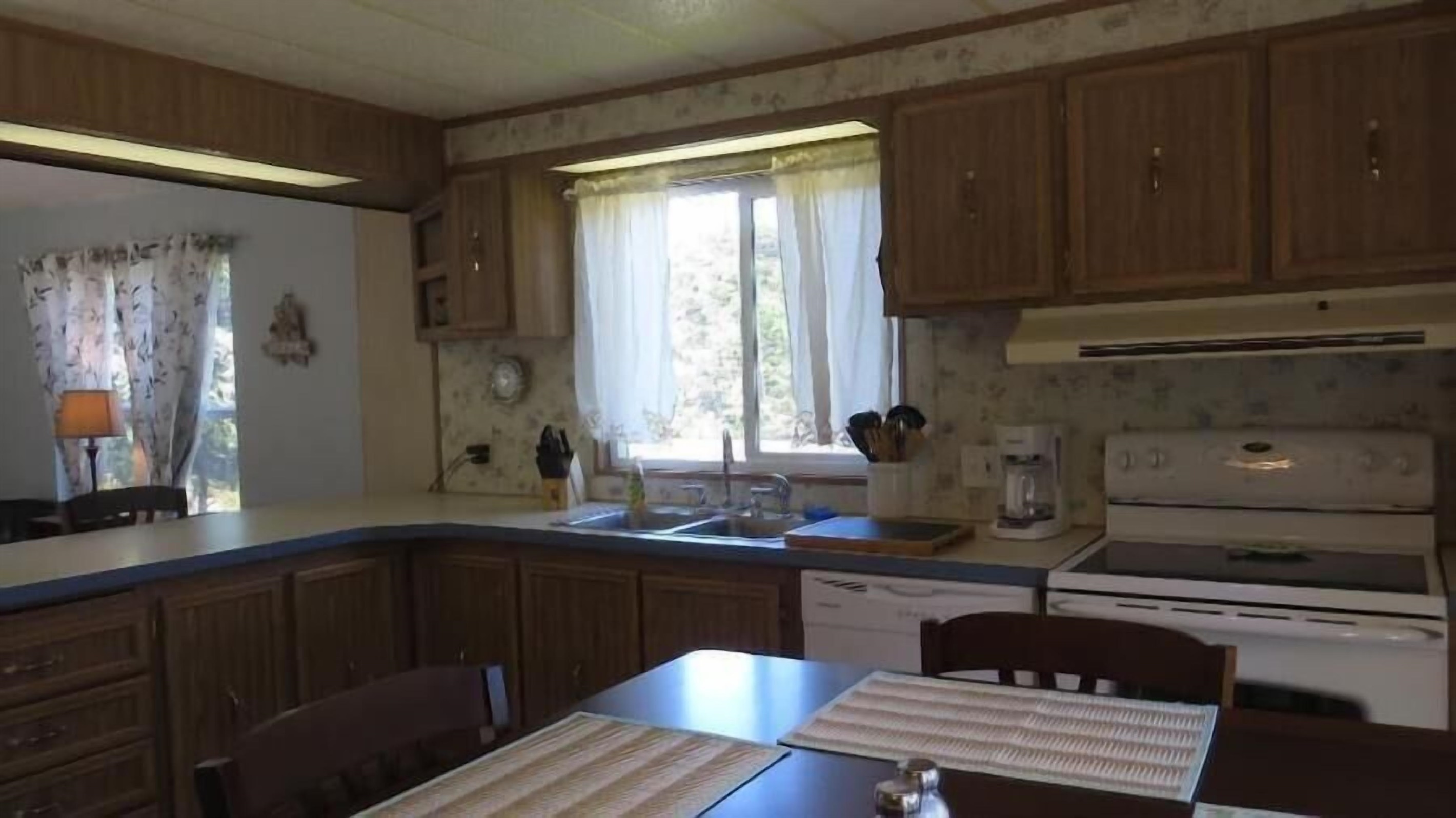 electric range & dishwasher