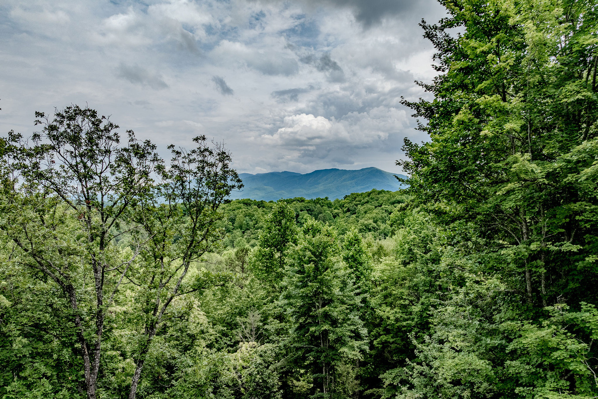 Blue Smoke Outpost offers a quiet Smoky Mountain home base for families, friends, and dog-friendly getaways.