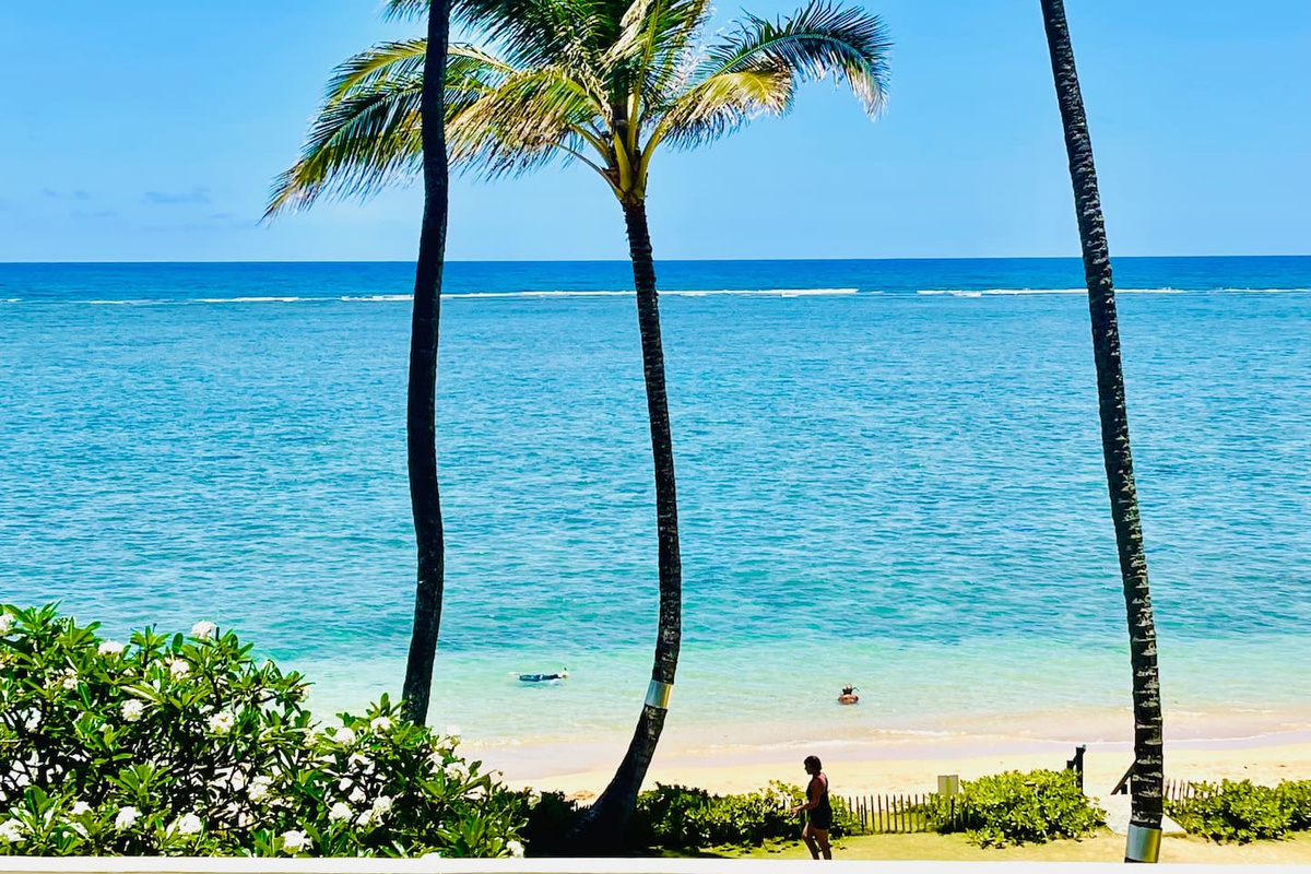 Your amazing View!