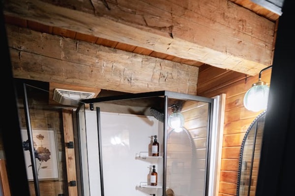 Shower area with all the essentials to start your day right.