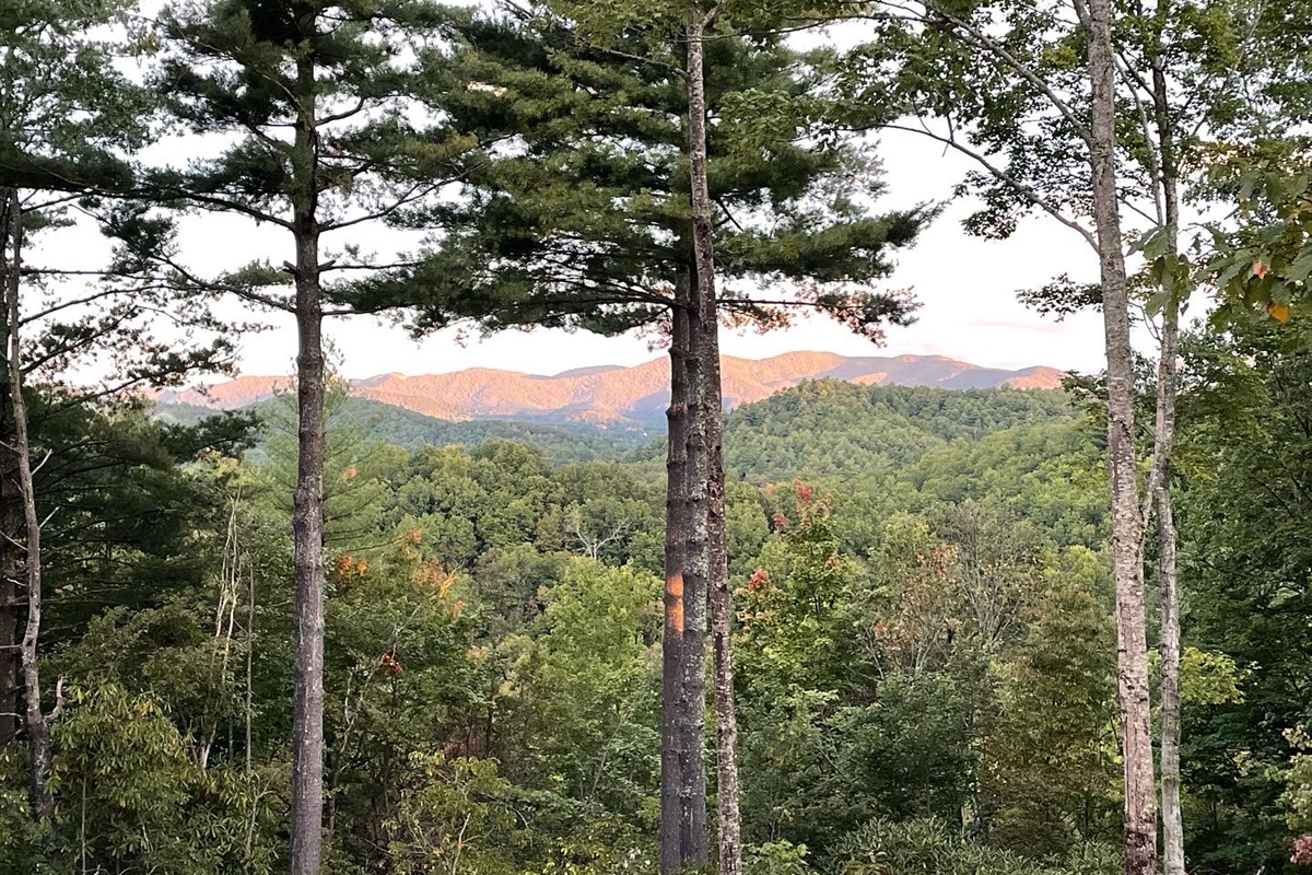 Views from the other side of house and deck