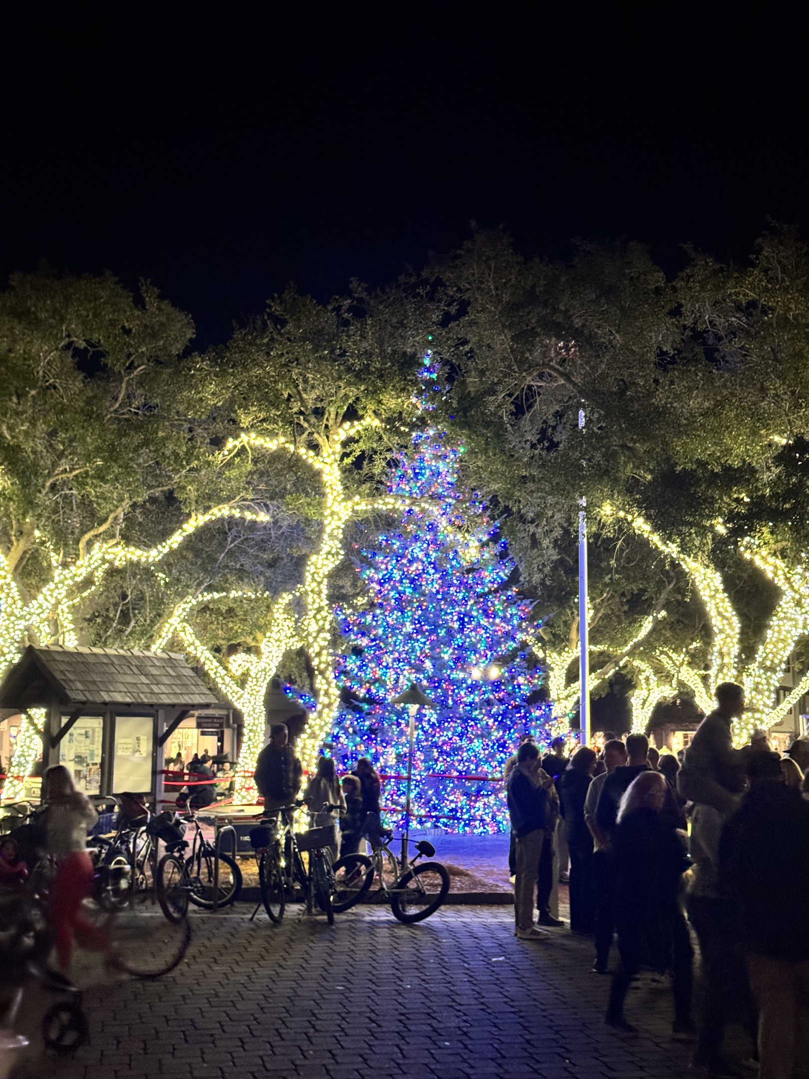 Holidays on 30A