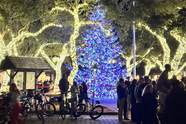 Holidays on 30A