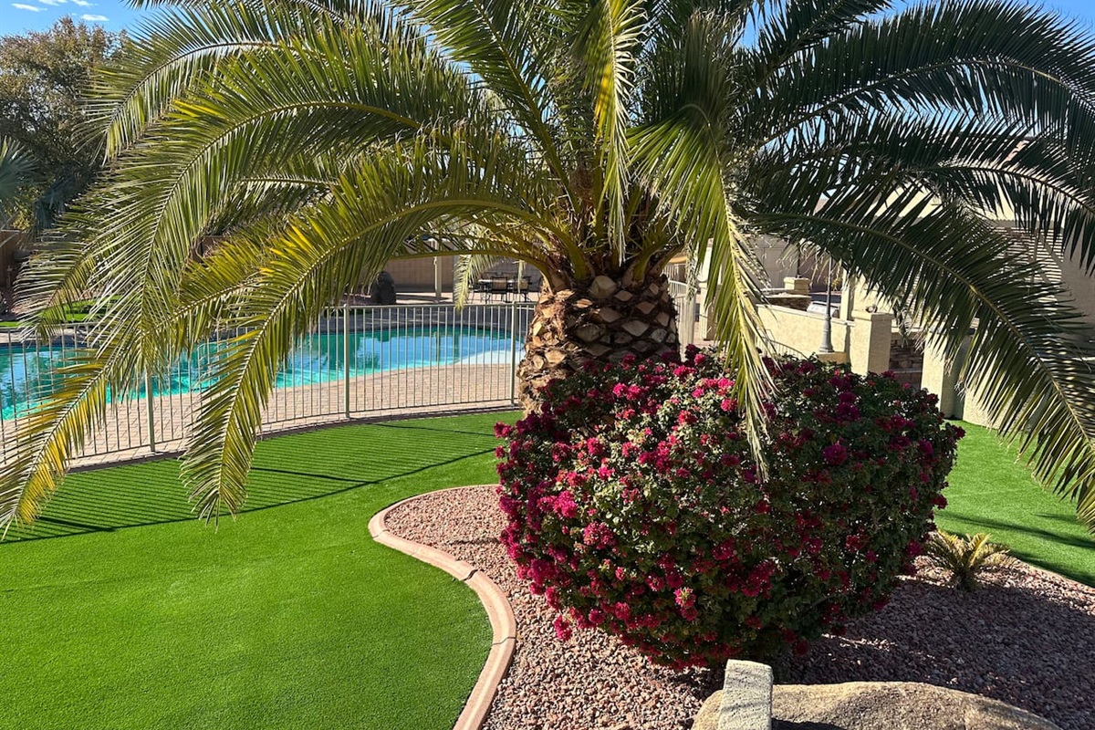 Desert Cove Escape | 5BR Retreat w/ Pool & Casita — Desert Cove Escape | 5BR Retreat w/ Pool & Casita, Surprise, Arizona — photo 15