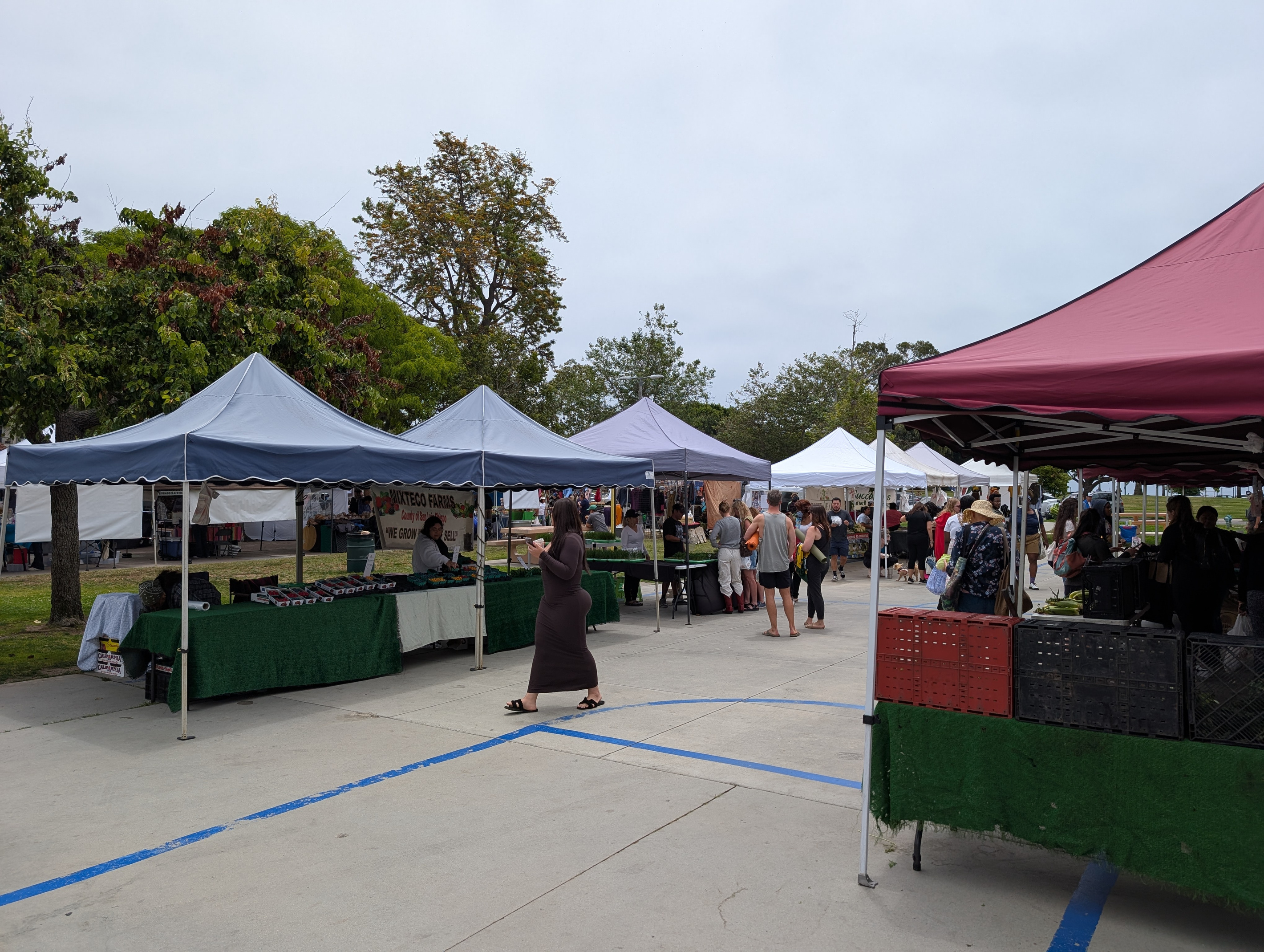 Saturday Long Beach Farmers Market Bixby Park