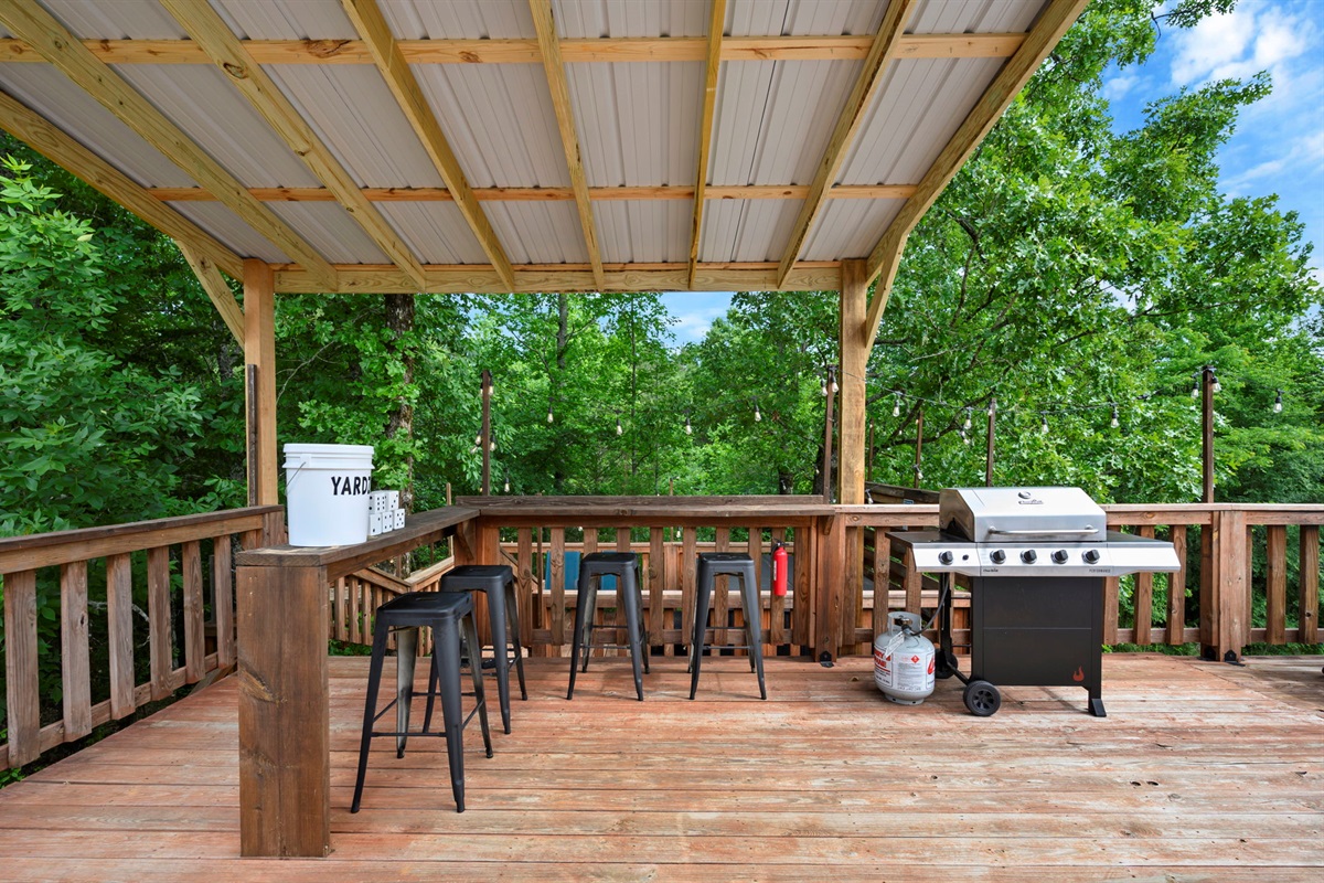 Outdoor Dining Bar and BBQ