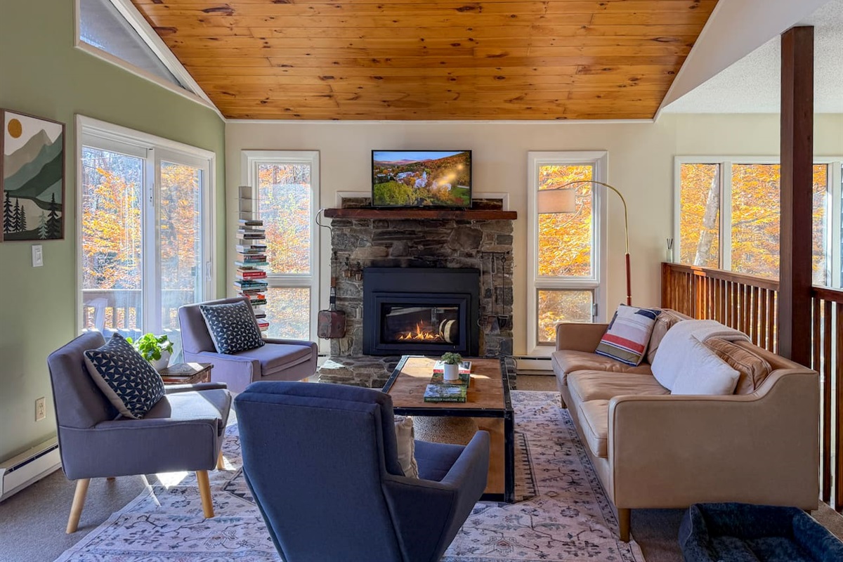 Watch a movie, read a book, or just relax by the fire!