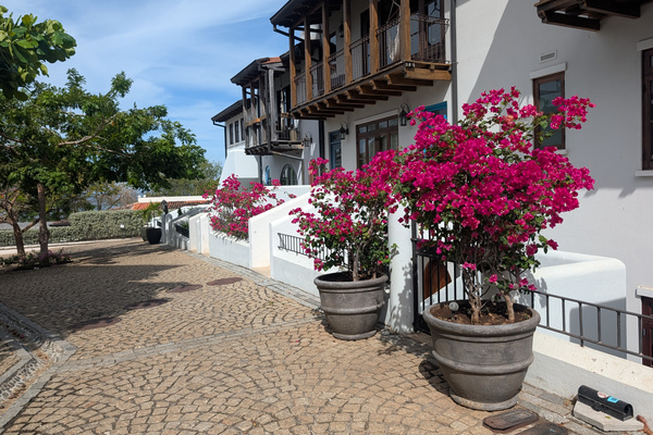 Las Catalinas 2BR | 3 outdoor spaces + plunge pool