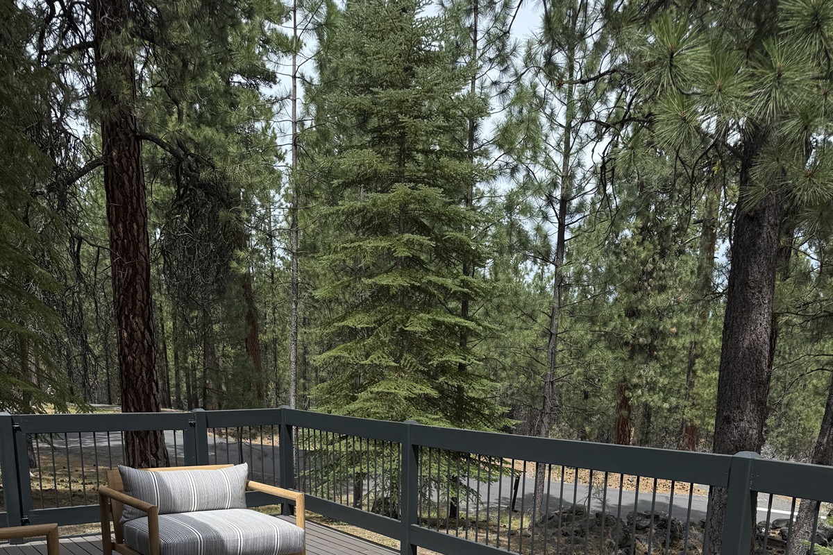 View from Deck