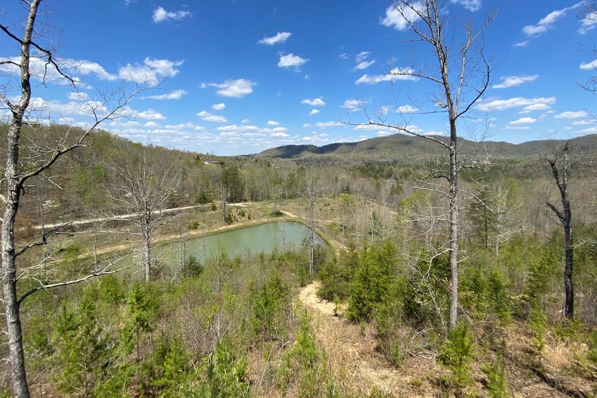 View from the back deck.