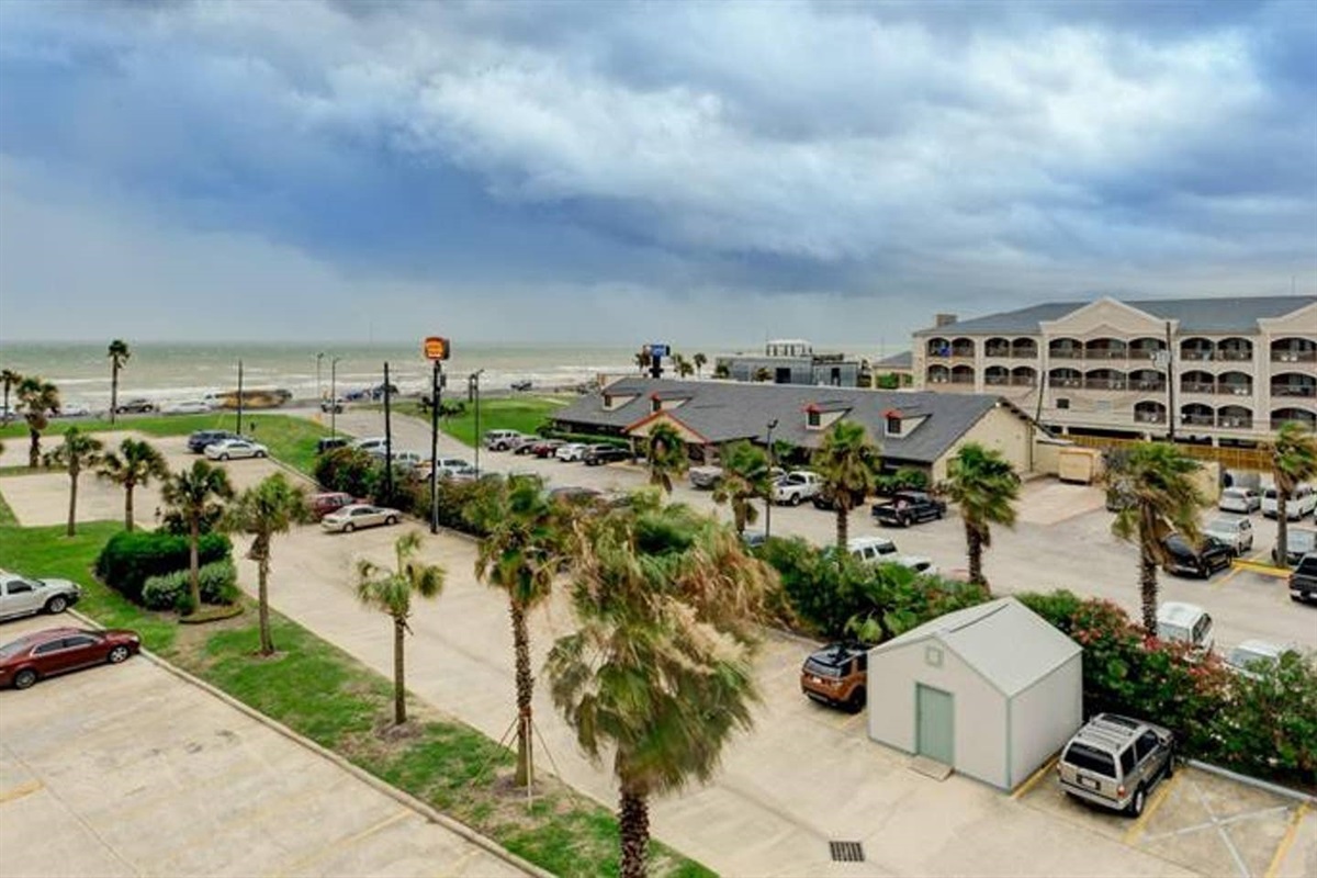 Gone Coastal 376 Team Mamo Realty, Inc.