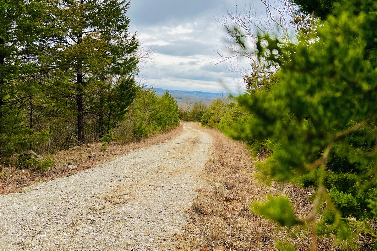 Spacious hiking trails