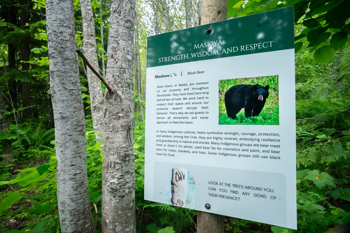Learn about the local flora and fauna and it's indigenous cultural and medicinal uses on our 1km seasonal interpretive trail.