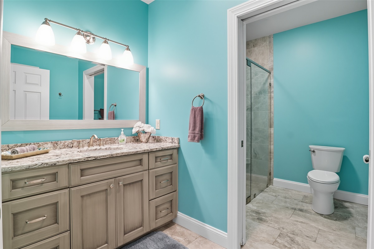 Charming lower level full bathroom with walk in shower Bathroom #5