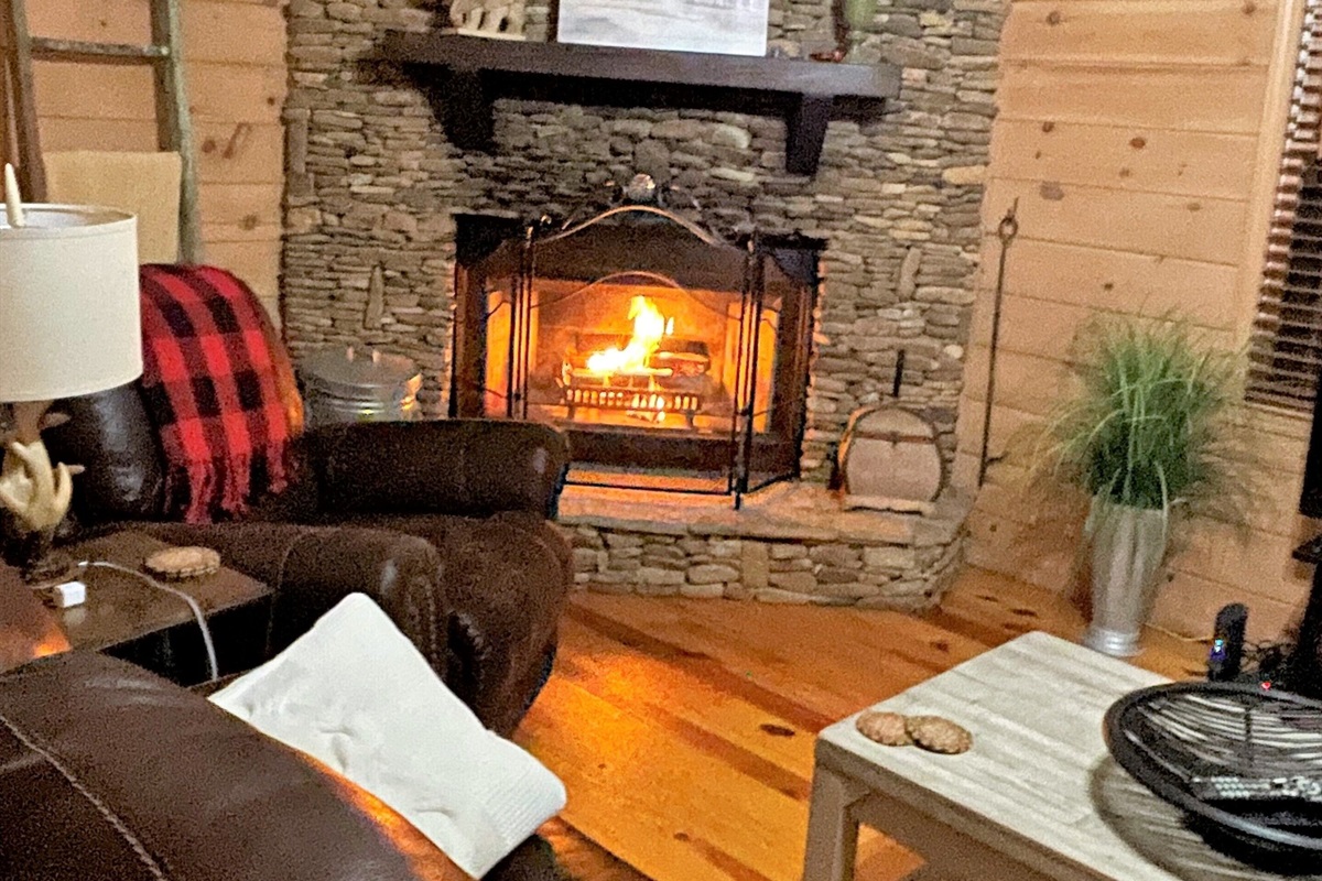 Living Room Fireplace