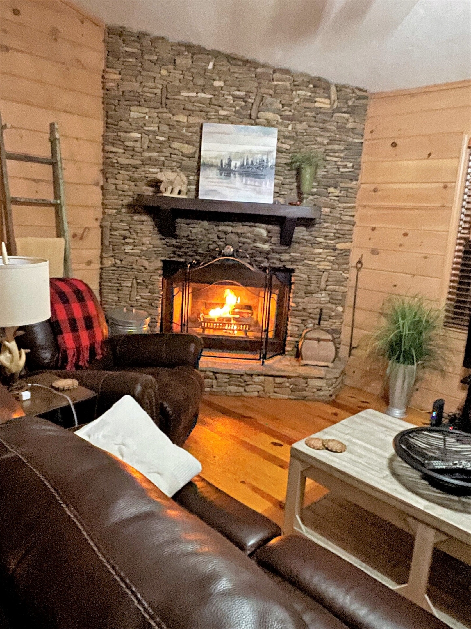 Living Room Fireplace