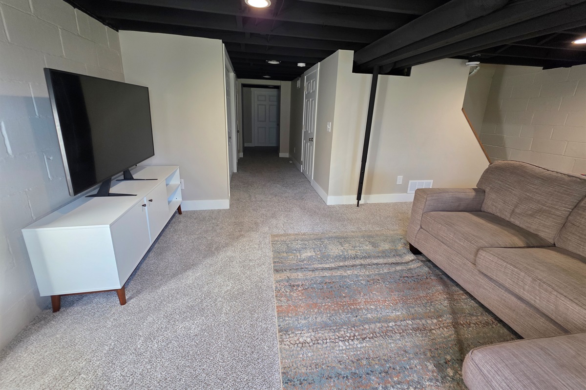 Down stairs Couch and TV