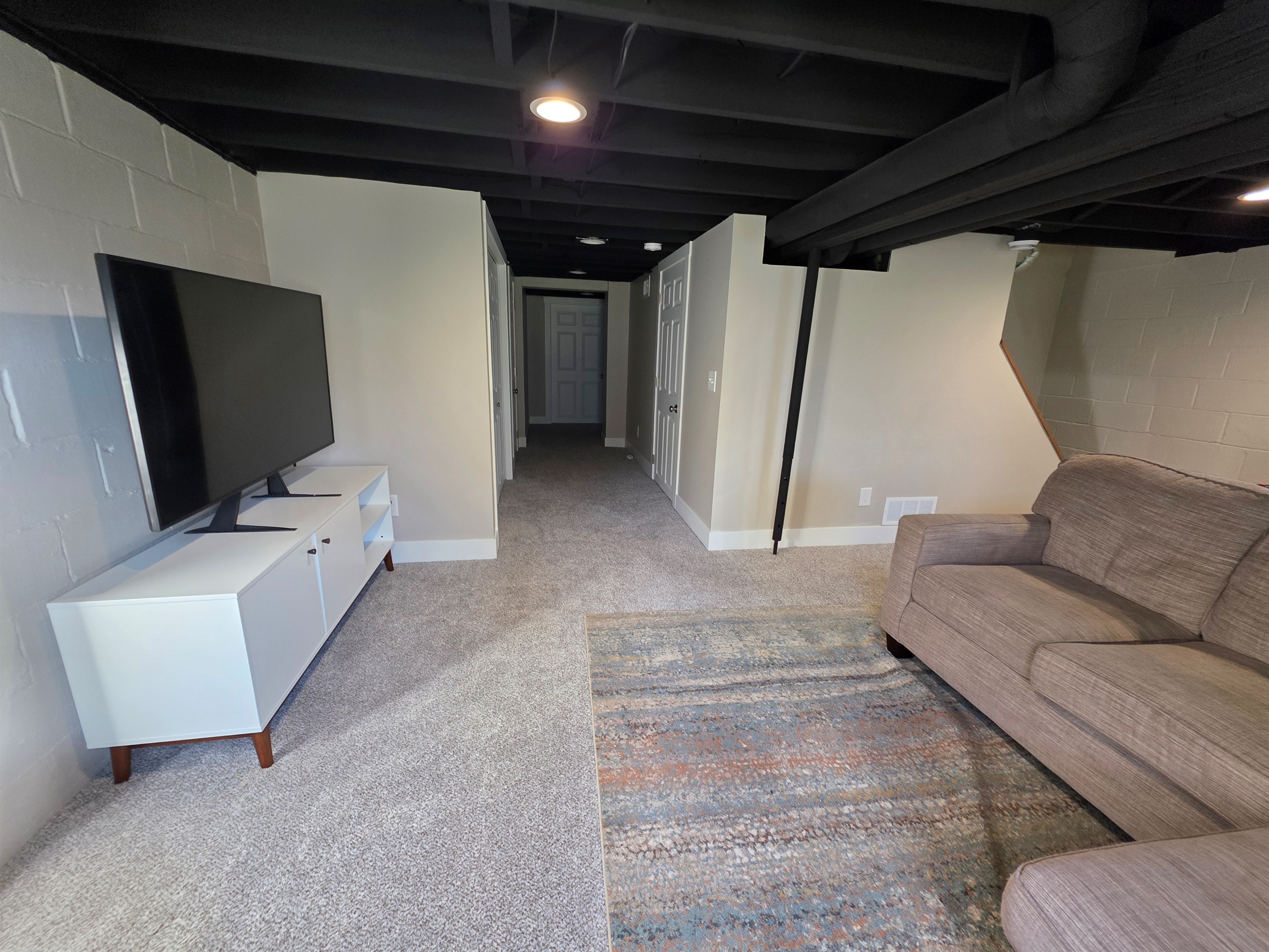 Down stairs Couch and TV