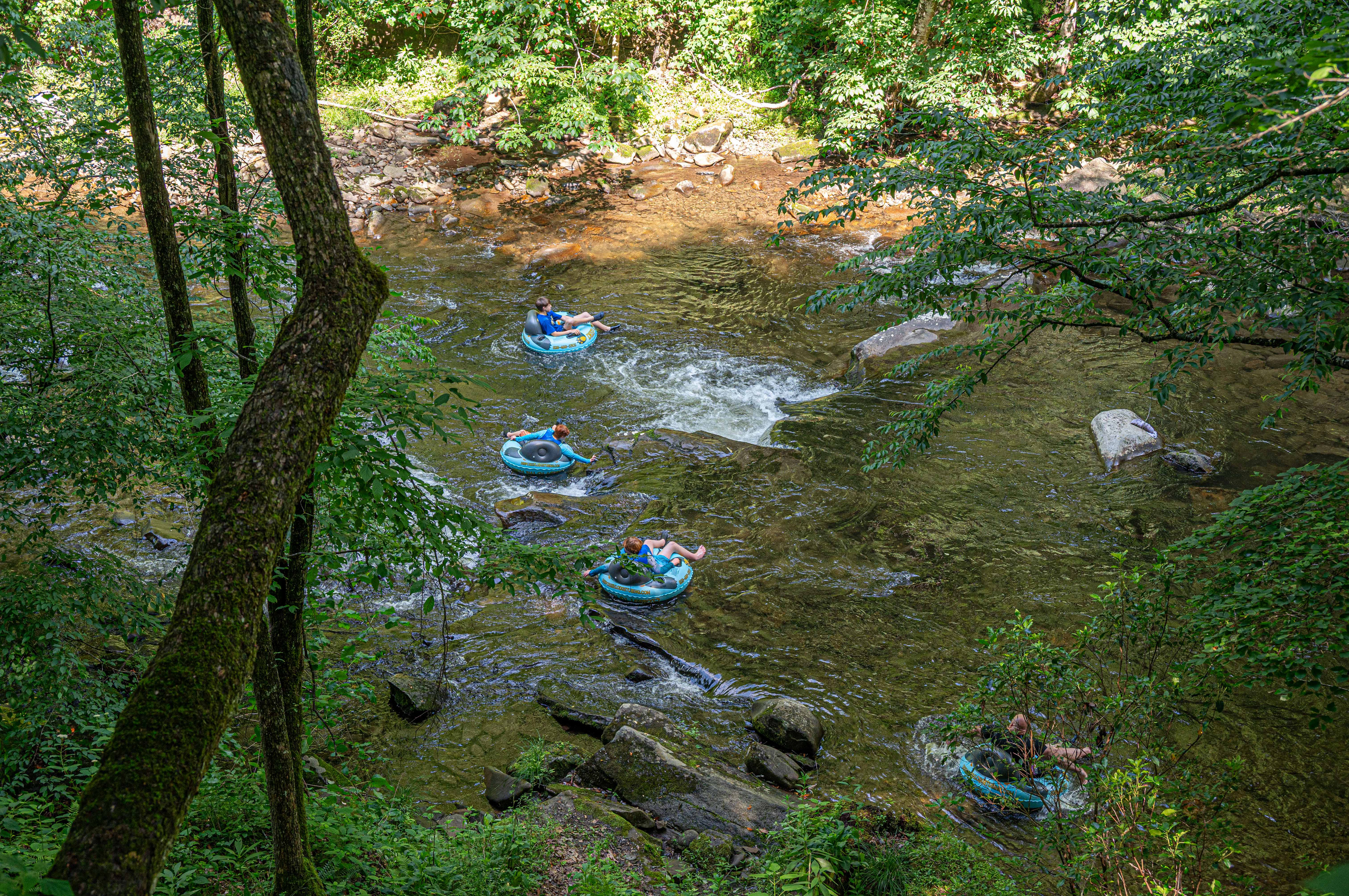 Riverfront Adventure: Float down the tranquil river surrounded by lush nature and laughter!