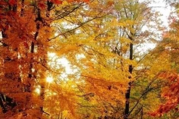 Color season 2022! Walk to the river.