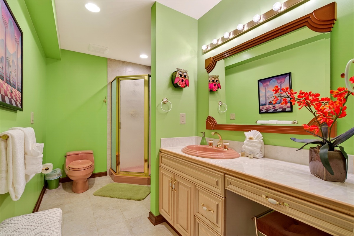 Lower level full bathroom with a shower