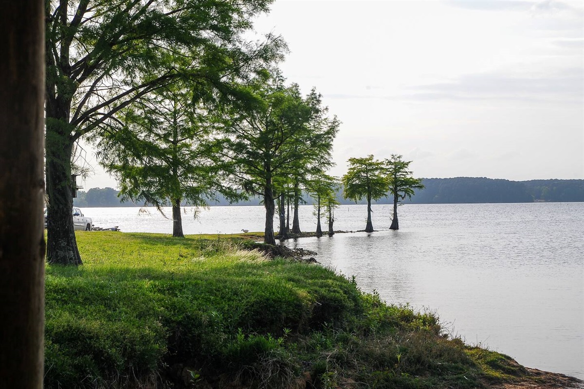 Old Yellow Lake House Toledo Bend Lake Bon Secour Lake Houses of Toledo Bend