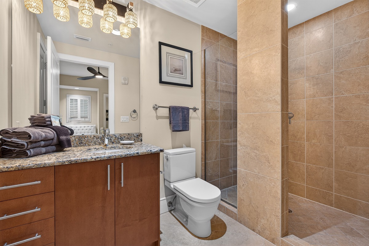 Second King Bathroom, shower