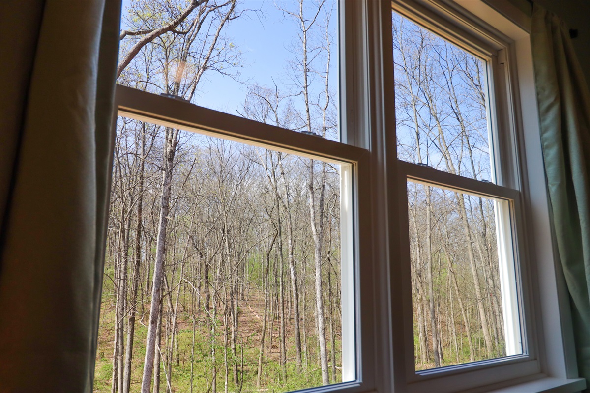 View out of twin bedroom of backyard and woods