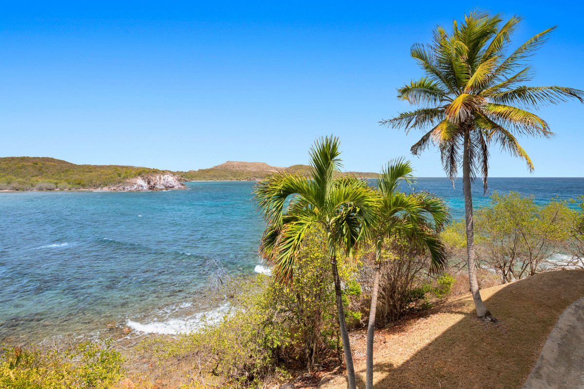 Palm trees, blue water, and endless Caribbean beauty.