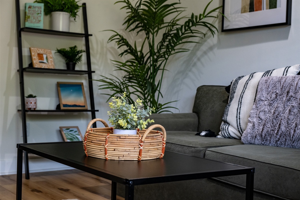 Contemporary furniture accented with plants and cozy pillows for your comfort.