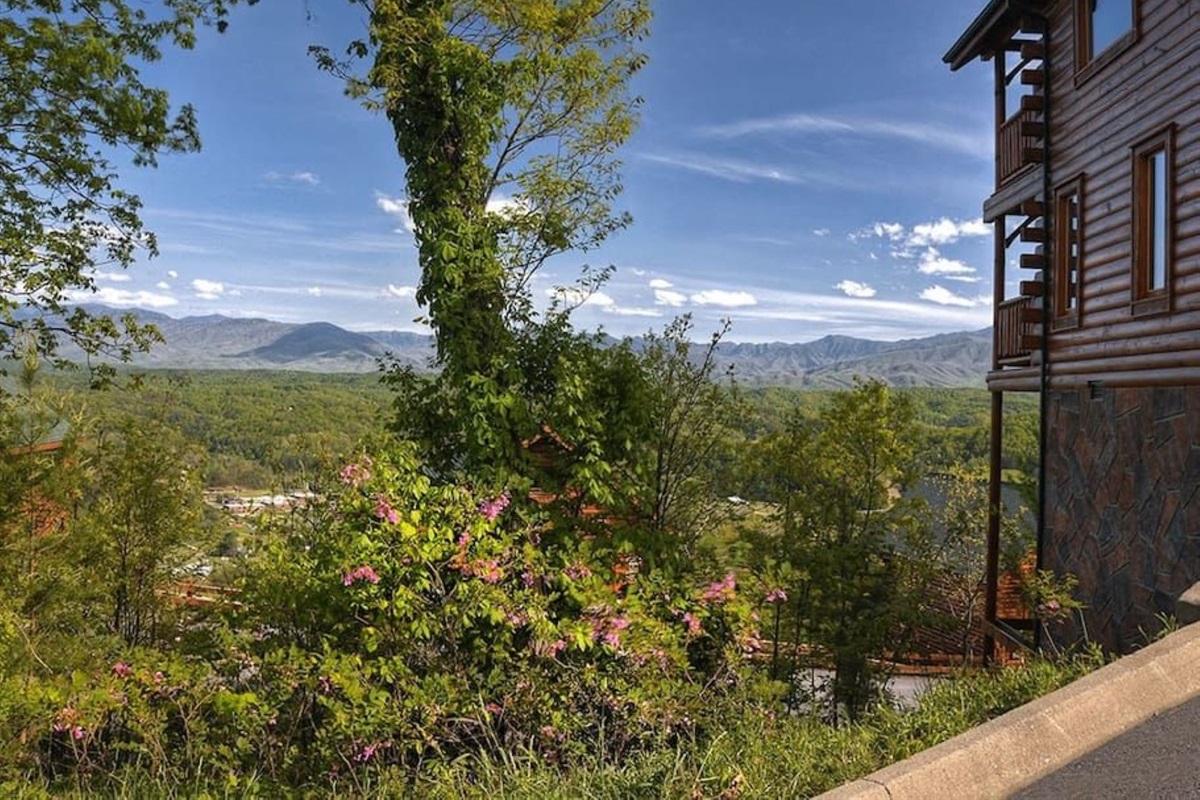 - Stunning Smoky Mountain scenery from the cabin&rsquo;s hillside location   - Bright wildflowers and lush greenery surround your peaceful retreat   - Enjoy the perfect mix of mountain charm and nature&rsquo;s quiet beauty
