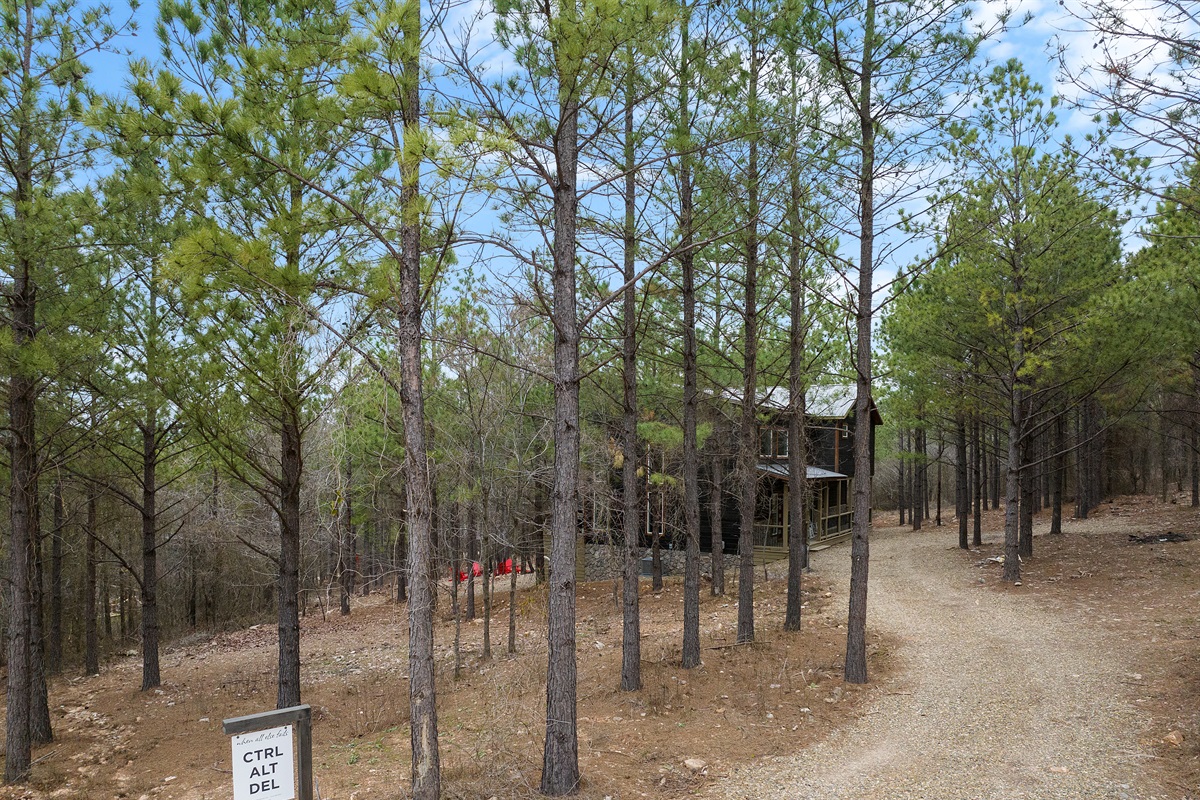 A scenic drive leading to the cabin, setting the tone for a quiet escape and nature-filled getaway. 🚗✨