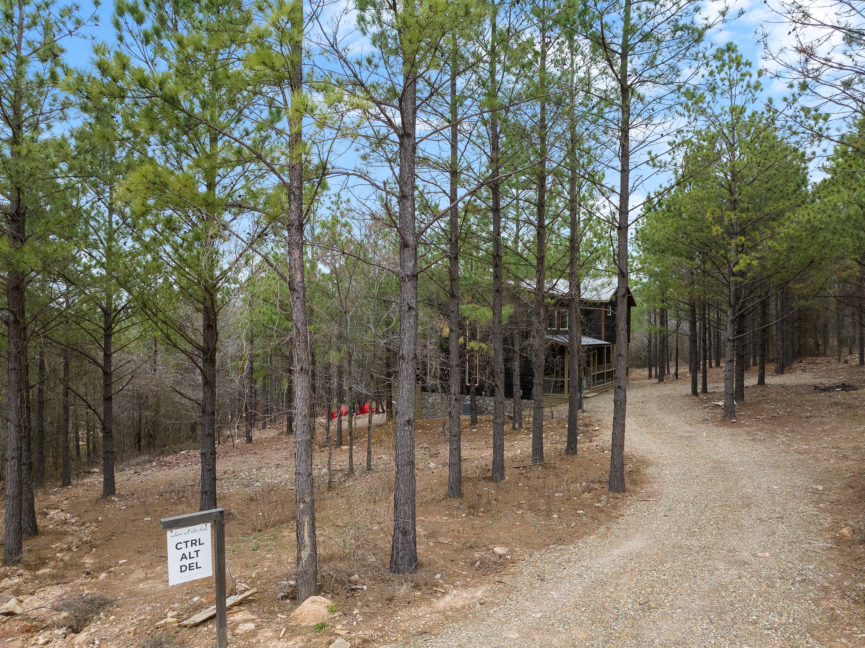 A scenic drive leading to the cabin, setting the tone for a quiet escape and nature-filled getaway. 🚗✨