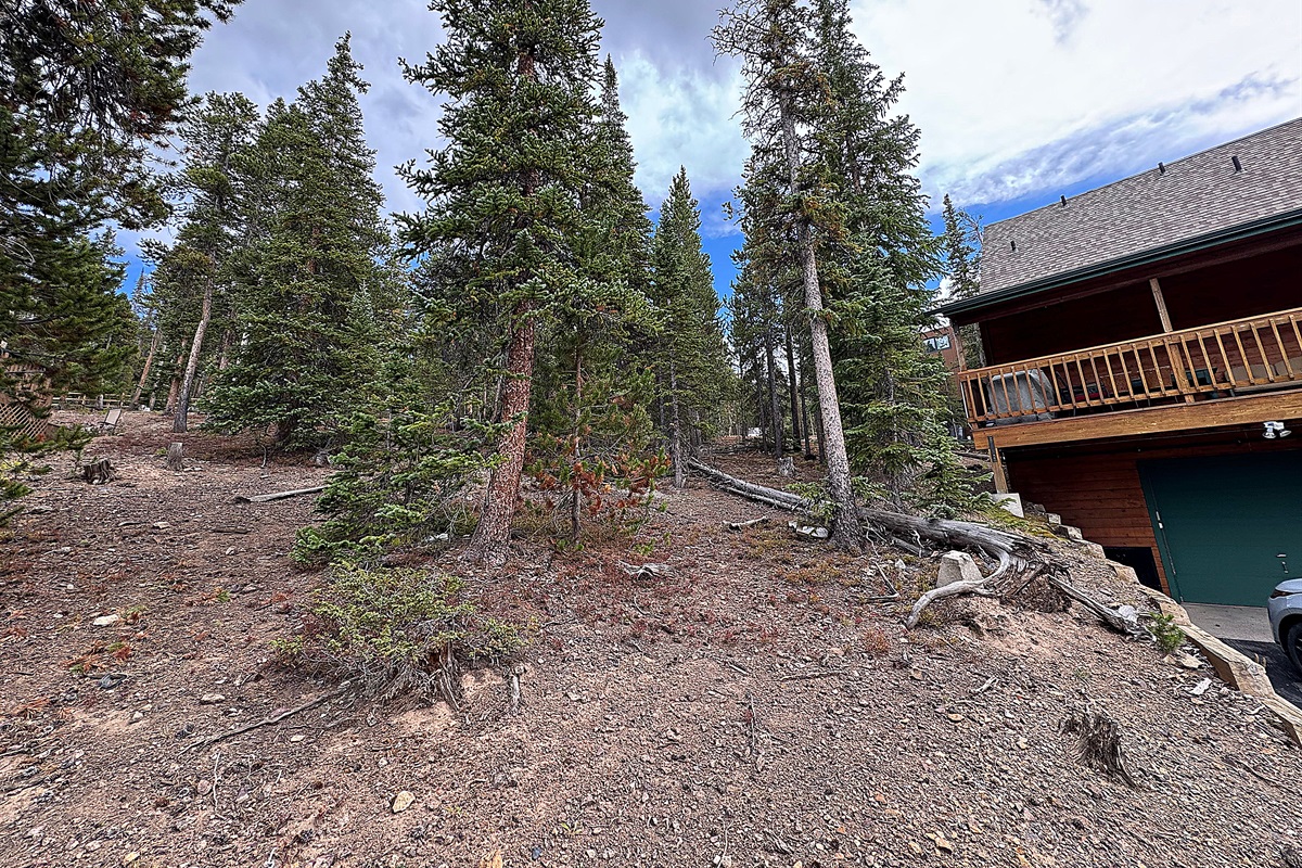 Large wooded area for kids to play behind home.