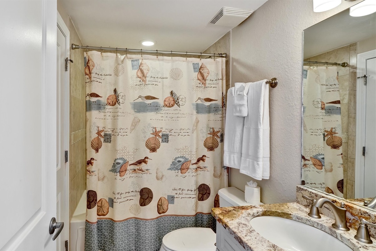 Guest Bathroom with Tub Shower Combo