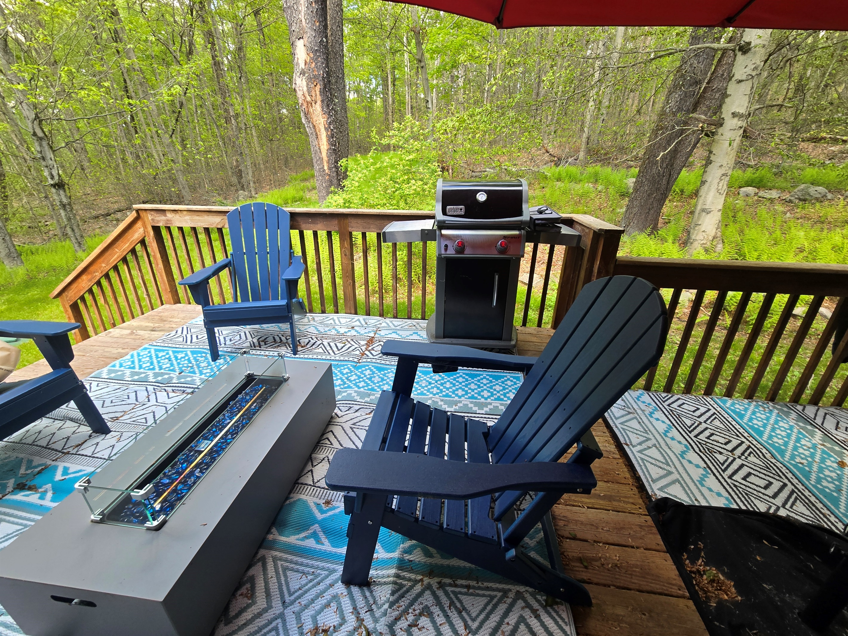 Rear deck with BBQ, propane fireplace and seating