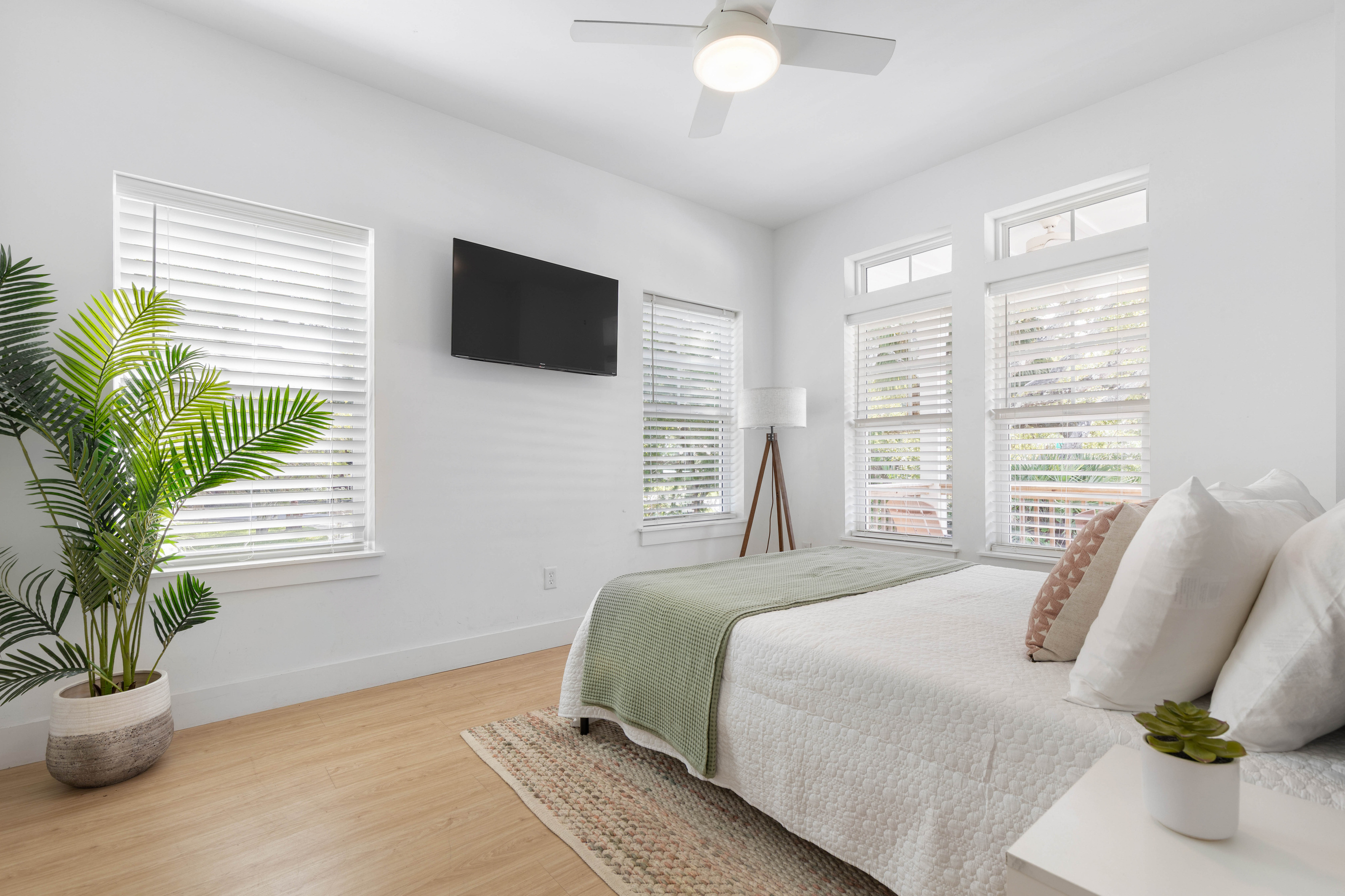 Green throw at the foot of the bed, a palm in the corner, and a television angled for the lazy mornings. The windows run along two walls, so this room brightens early whether you are ready for it or not.