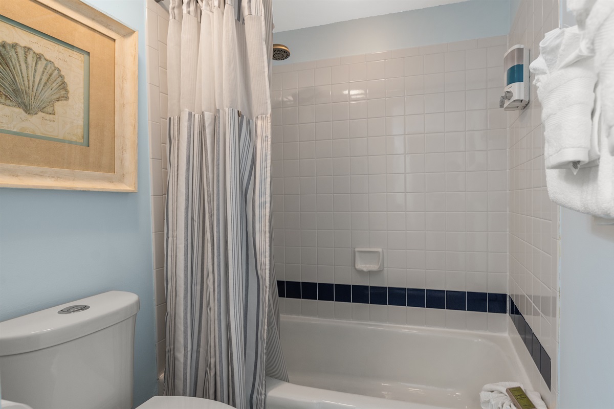 Main Bathroom with tub/shower