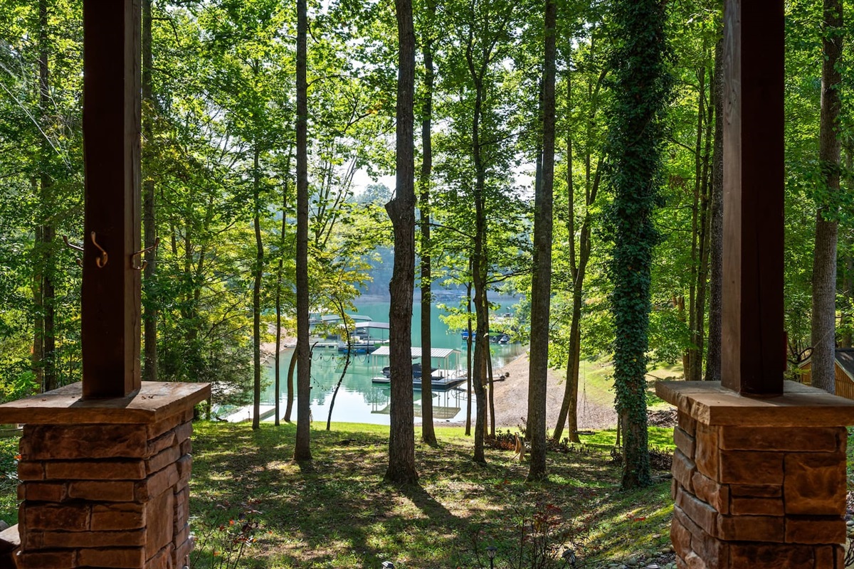 View from lower deck down to lake
